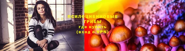 молекула духа Абинск
