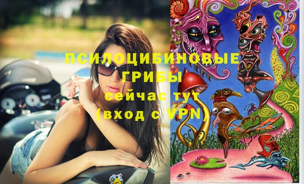 молекула духа Абинск
