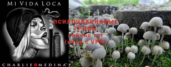 кокаин VHQ Алексеевка