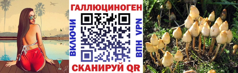 Псилоцибиновые грибы Psilocybe  kraken маркетплейс  Цимлянск  где купить наркоту 
